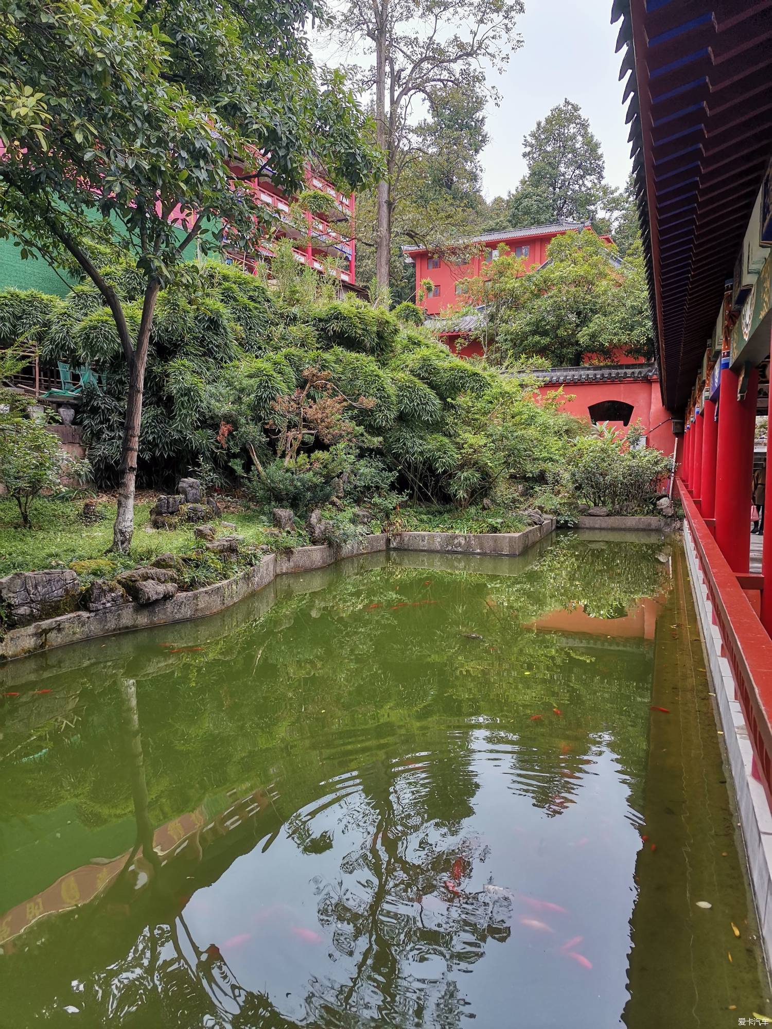 > 【热搜冲顶】贵阳黔灵山公园内的弘福寺