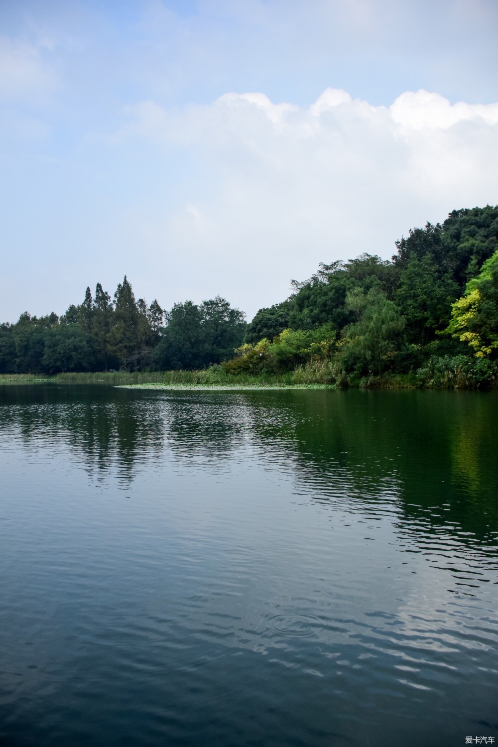 杭州记忆十五江南小景乌龟潭