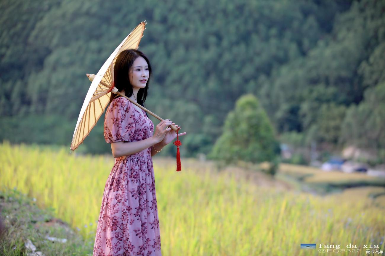 高明坑美梯田图片