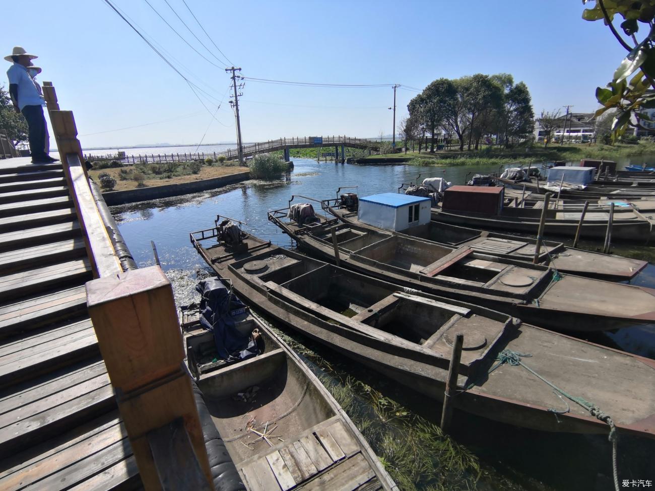 降溫送關懷暢遊蓮花島打卡陽澄湖