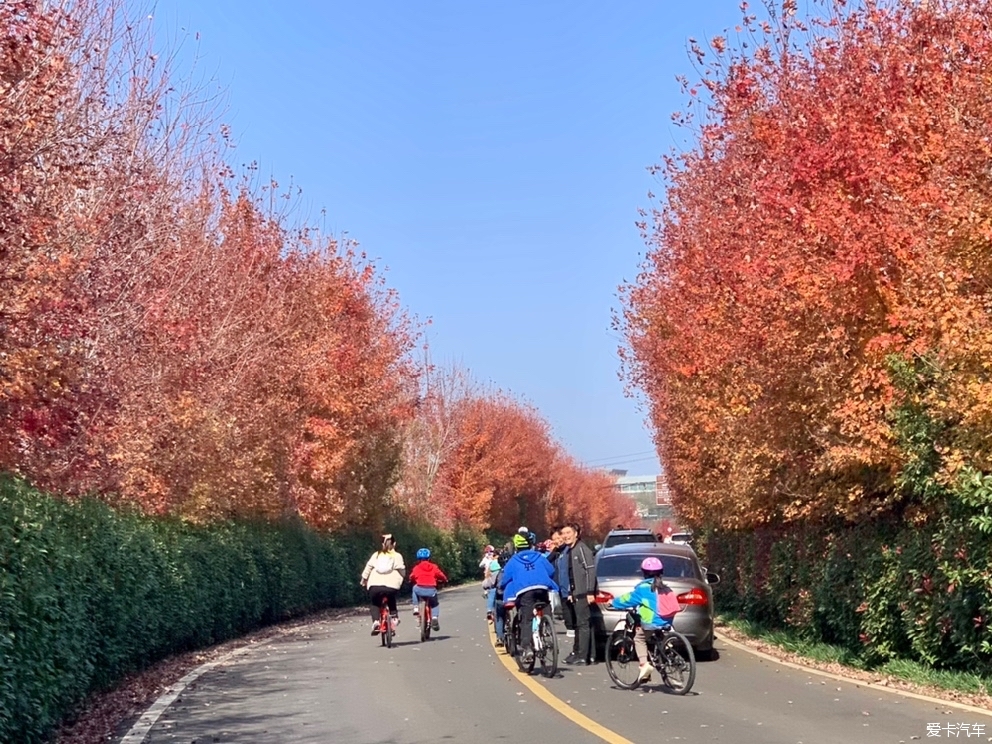 【大富翁】逛竹镇:赏秋色风景,吃农家菜肴