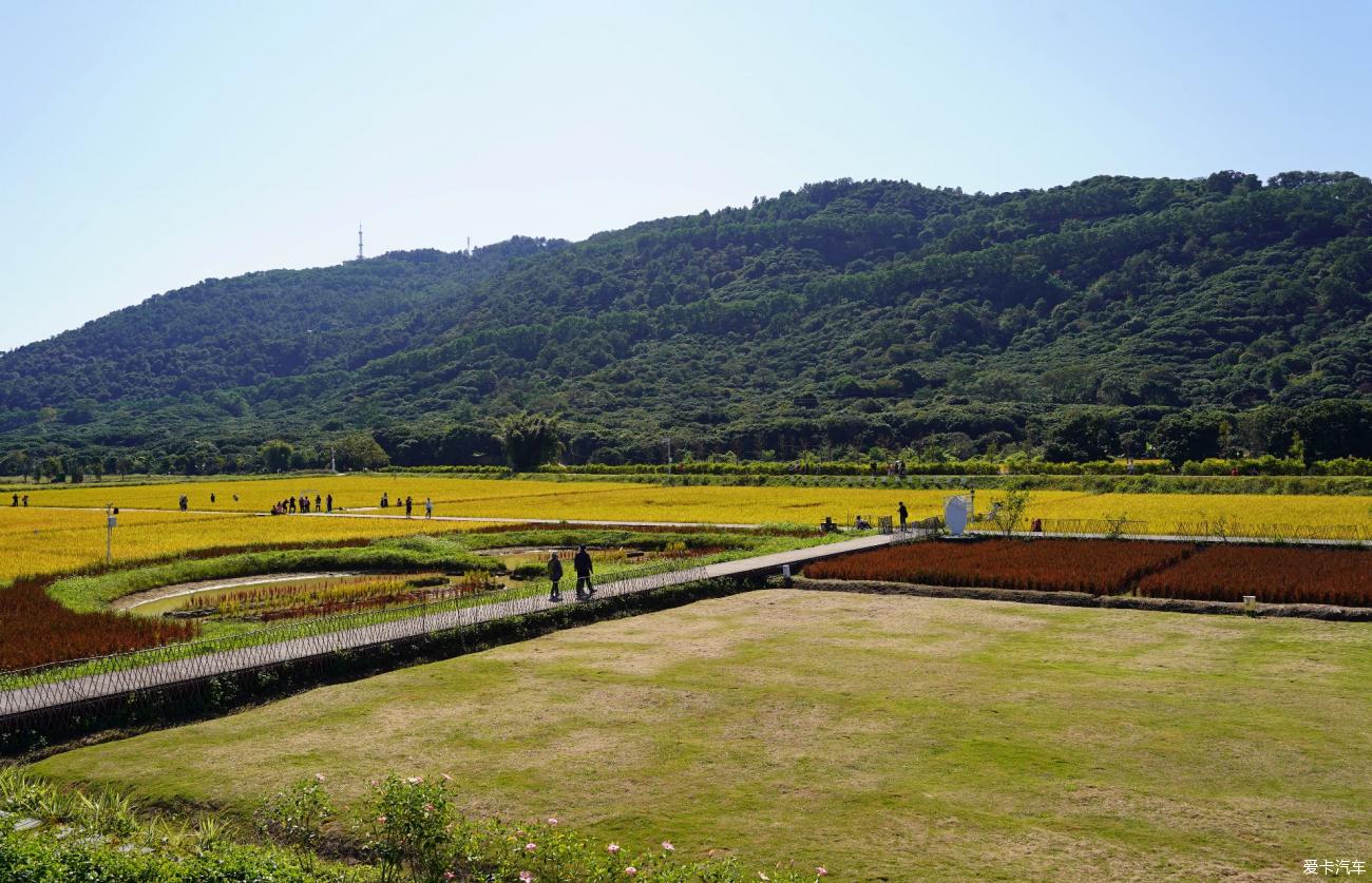 广州稻香村图片