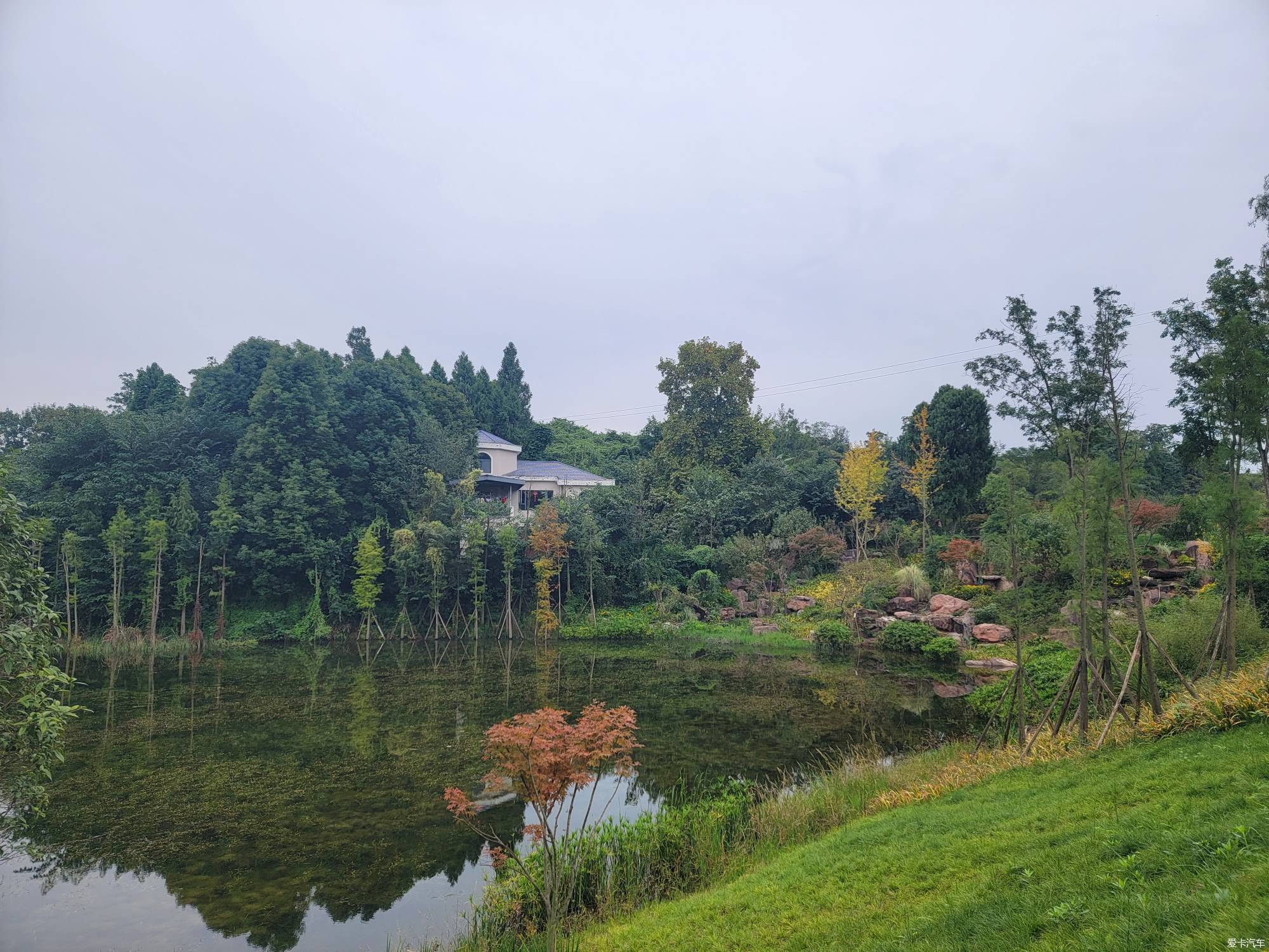 金堂大学城湿地公园图片