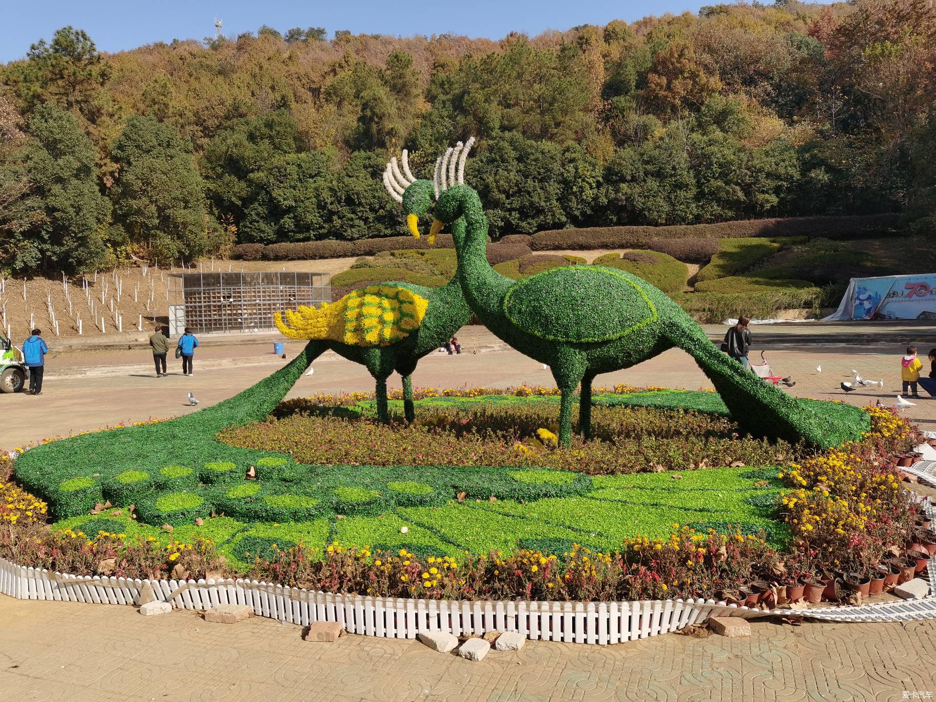 大富翁深秋的武漢九峰森林動物園上