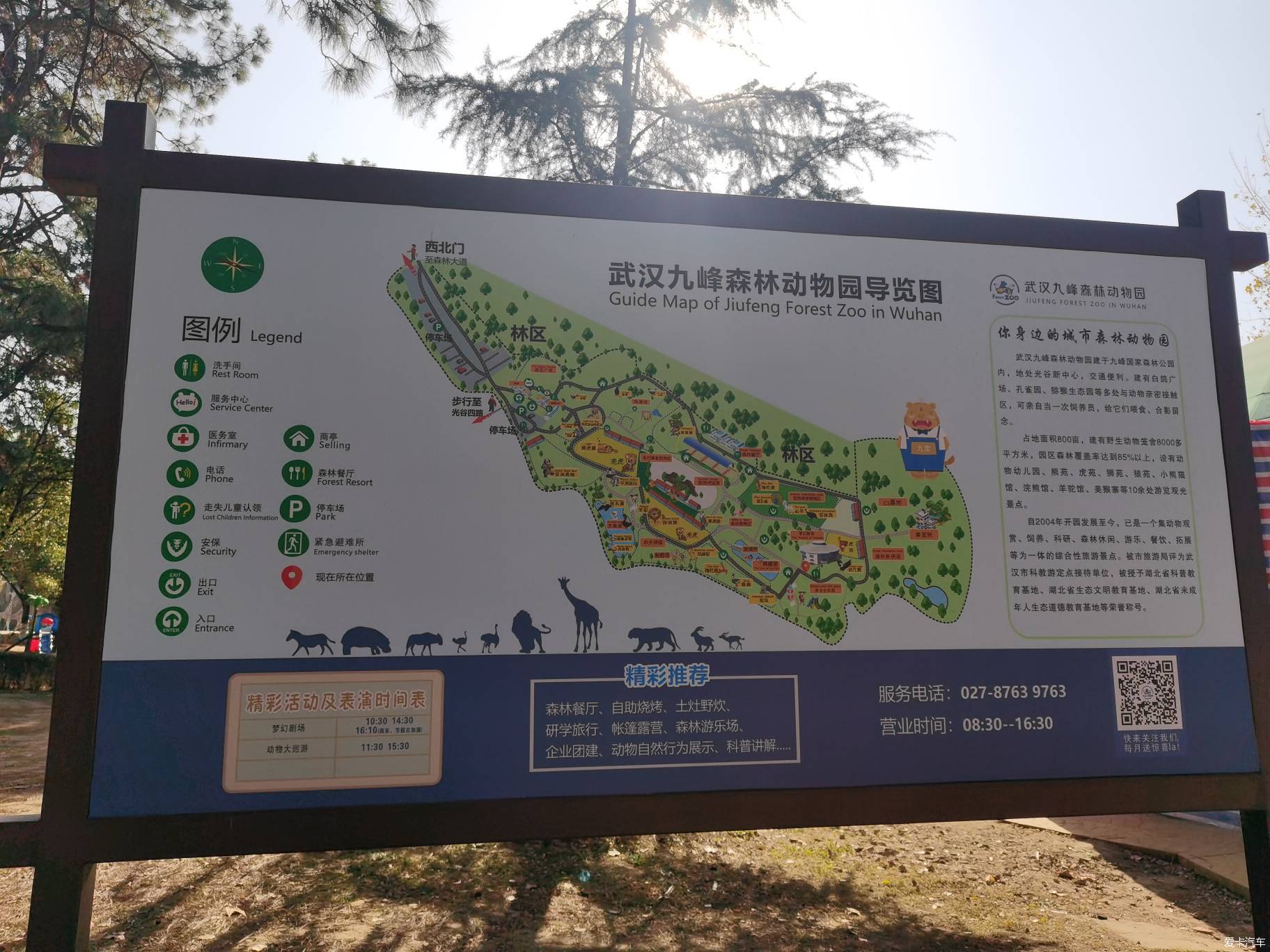 大富翁深秋的武汉九峰森林动物园中