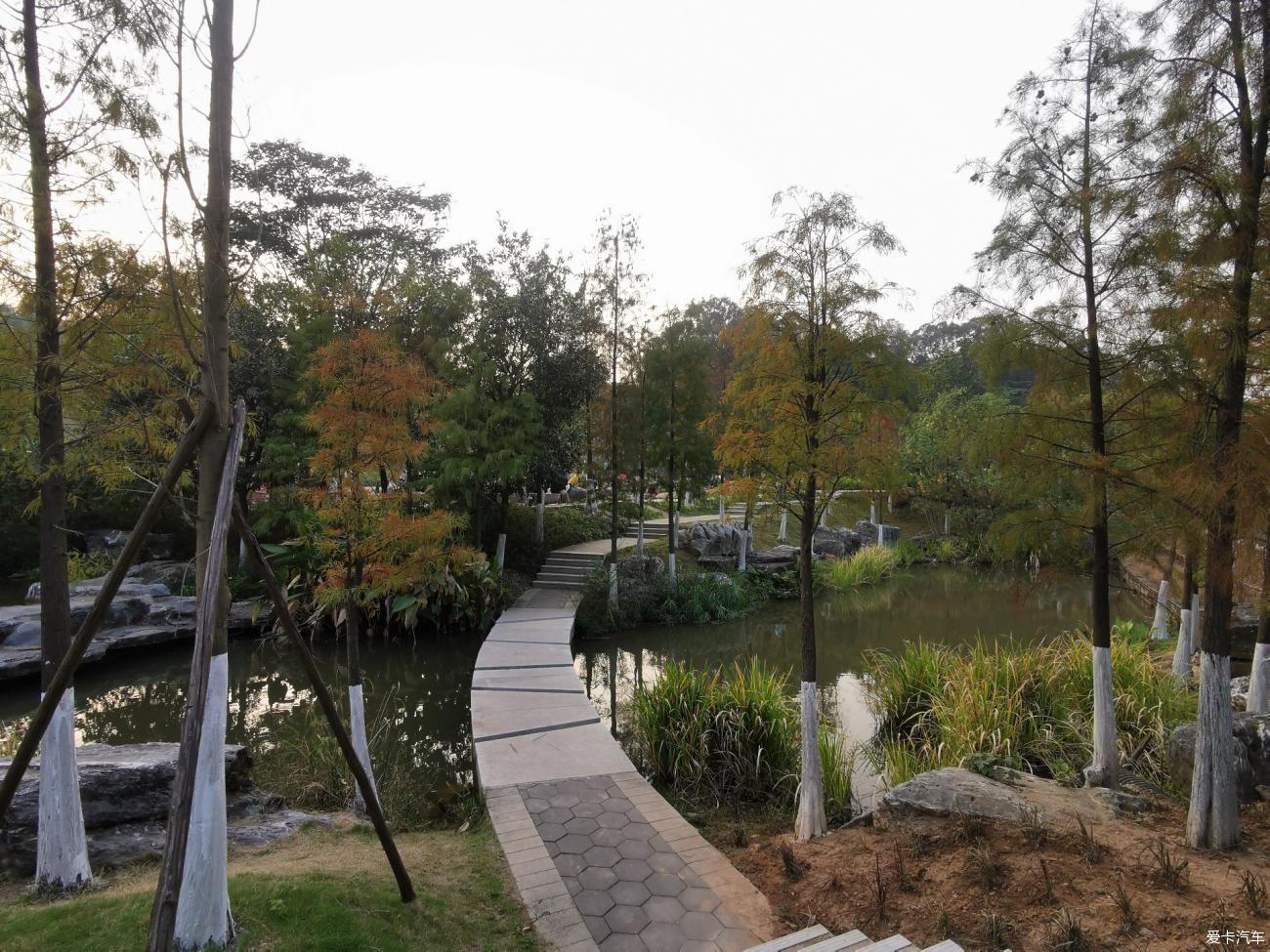 小能手南海區三山森林公園