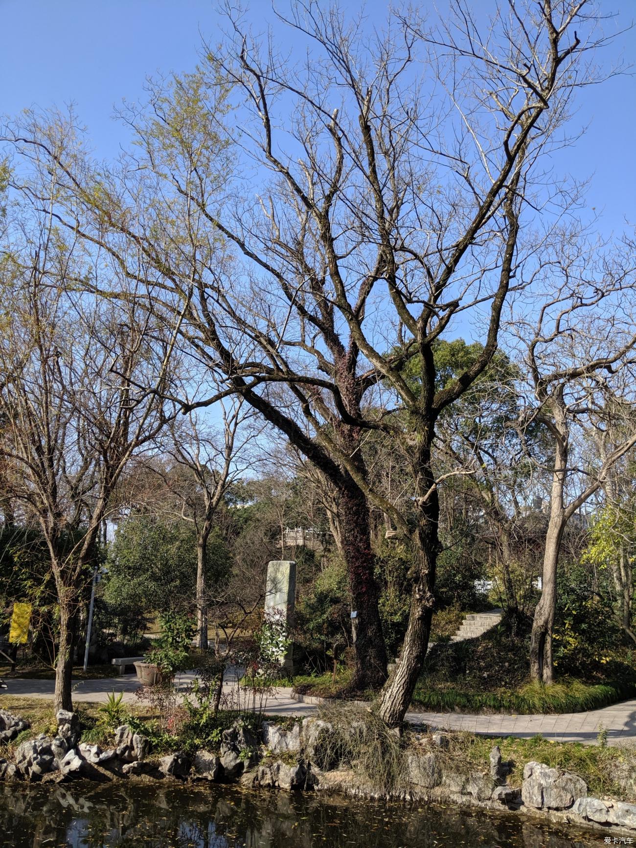 金鳌山公园图片