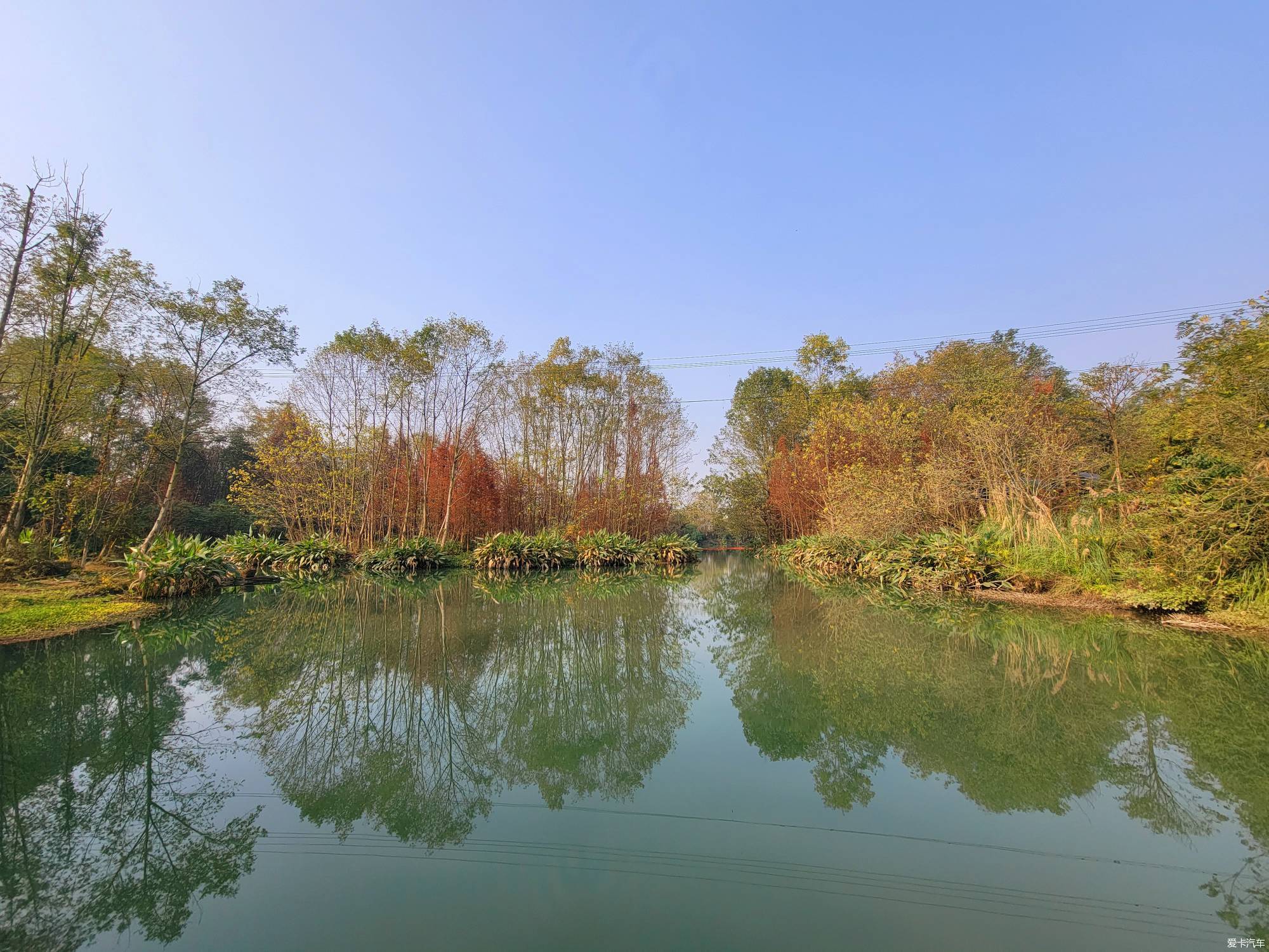 桤木河湿地公园图片图片