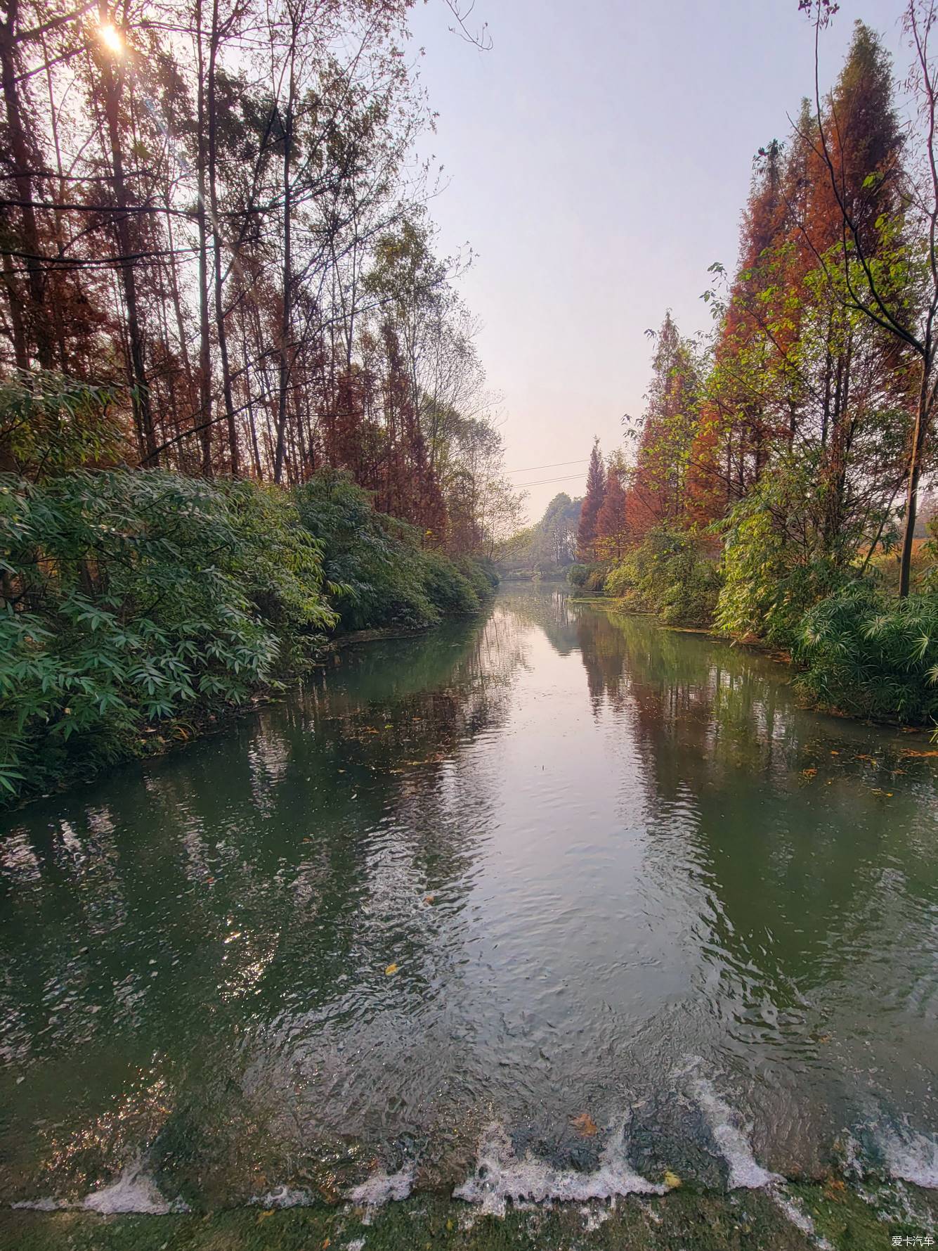 桤木河湿地公园图片图片