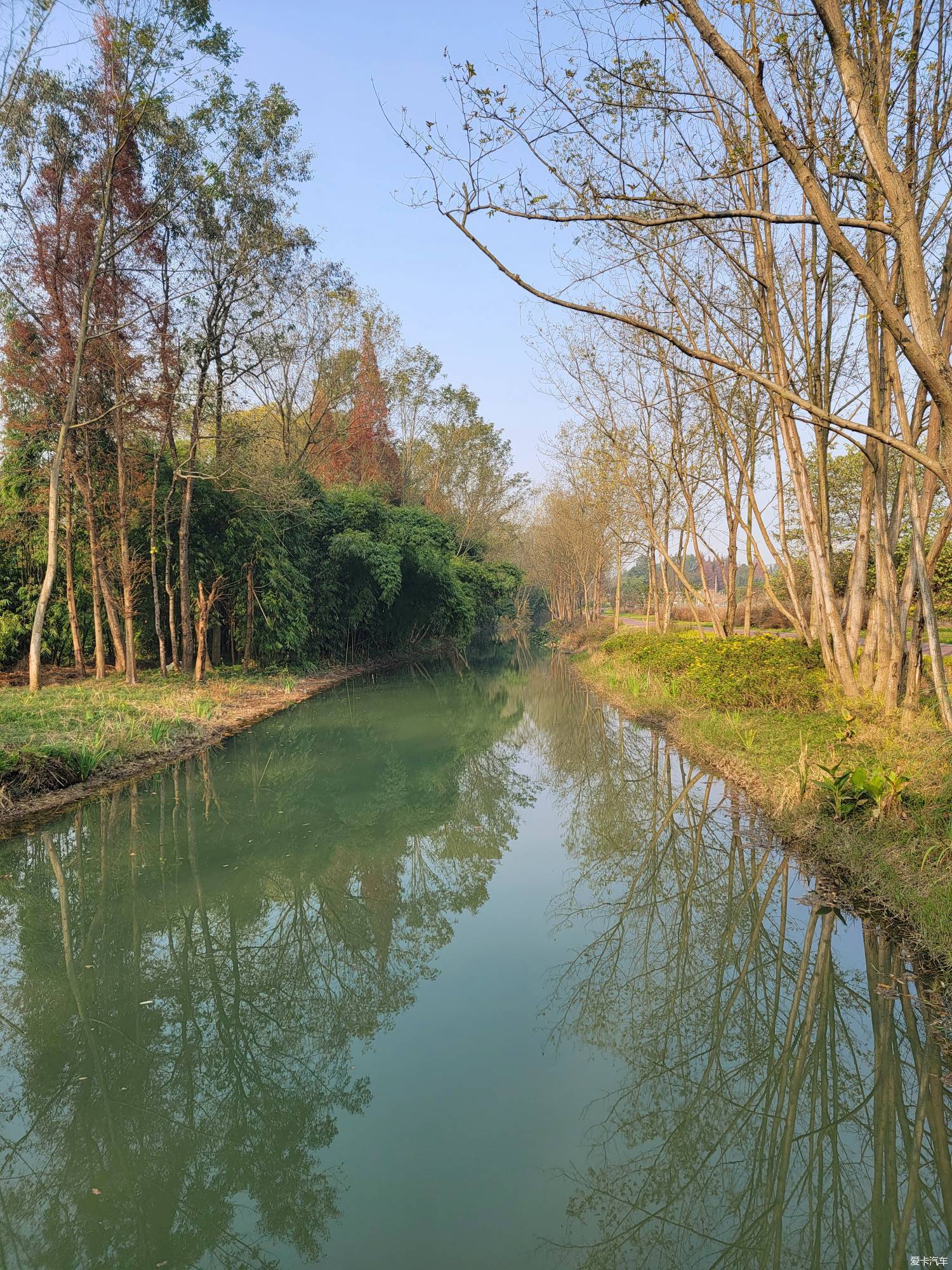 桤木河湿地公园图片图片