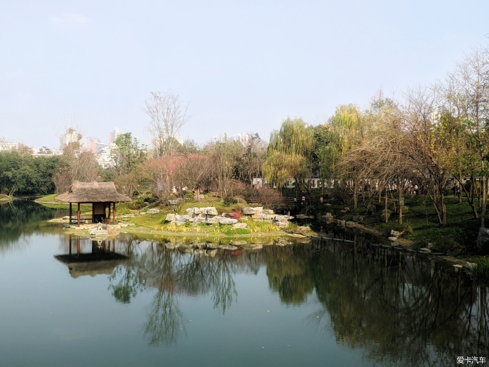 新年的第一天浣花溪公園曬太陽