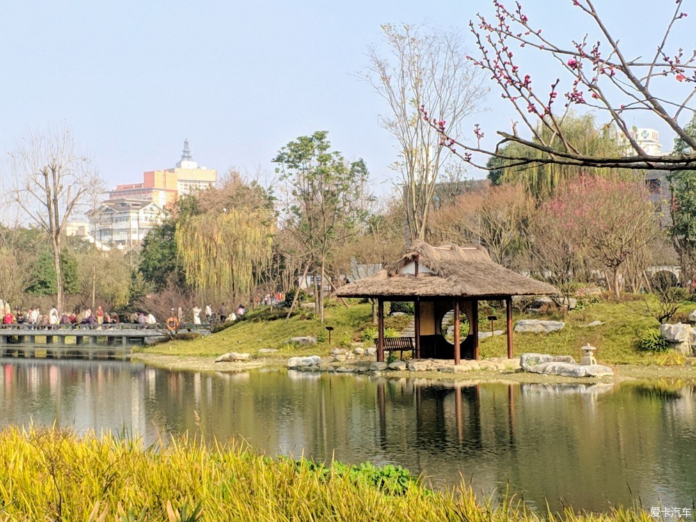 新年的第一天浣花溪公園曬太陽