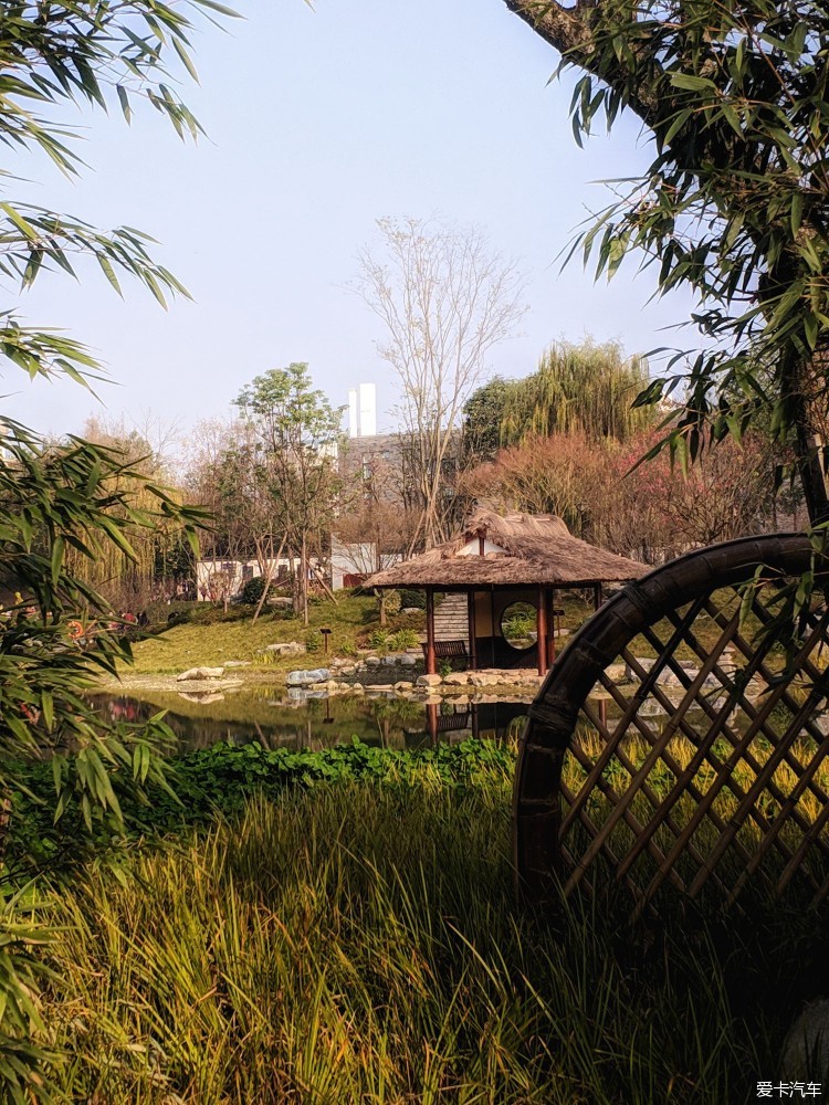 新年的第一天浣花溪公園曬太陽