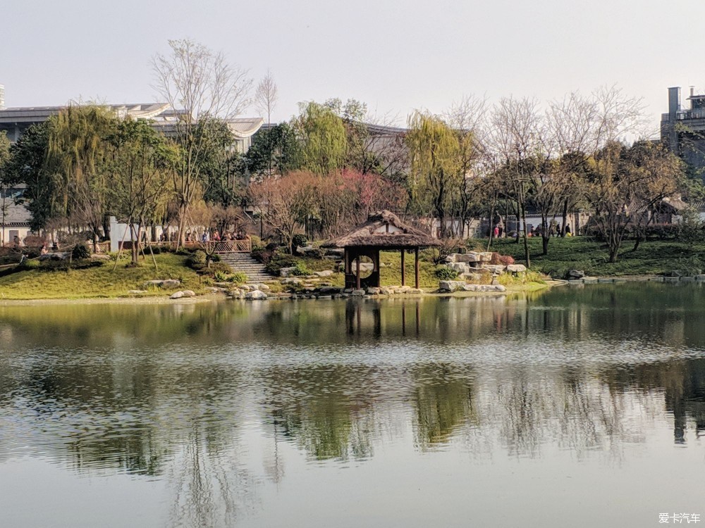 新年的第一天浣花溪公園曬太陽