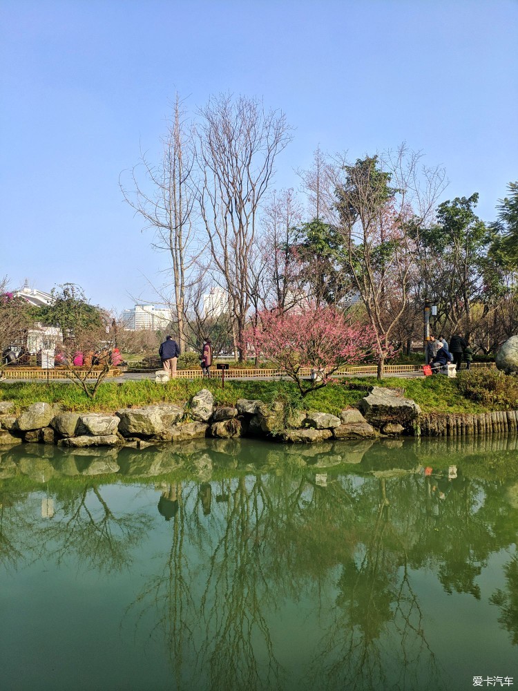 新年的第一天浣花溪公園曬太陽