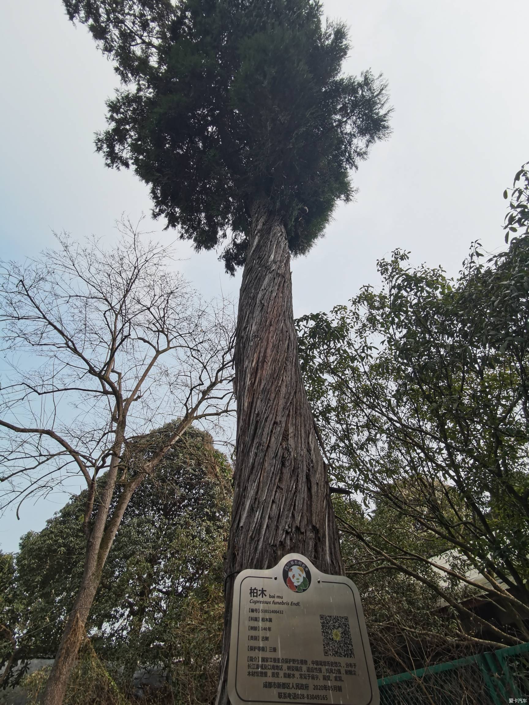 新都龙藏寺图片