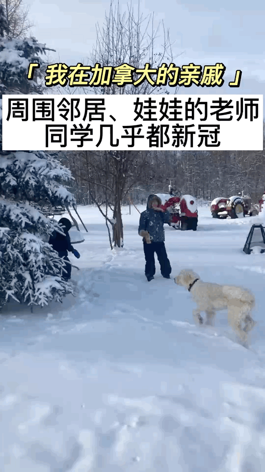 国外的疫情生活 依旧水深火热啊…