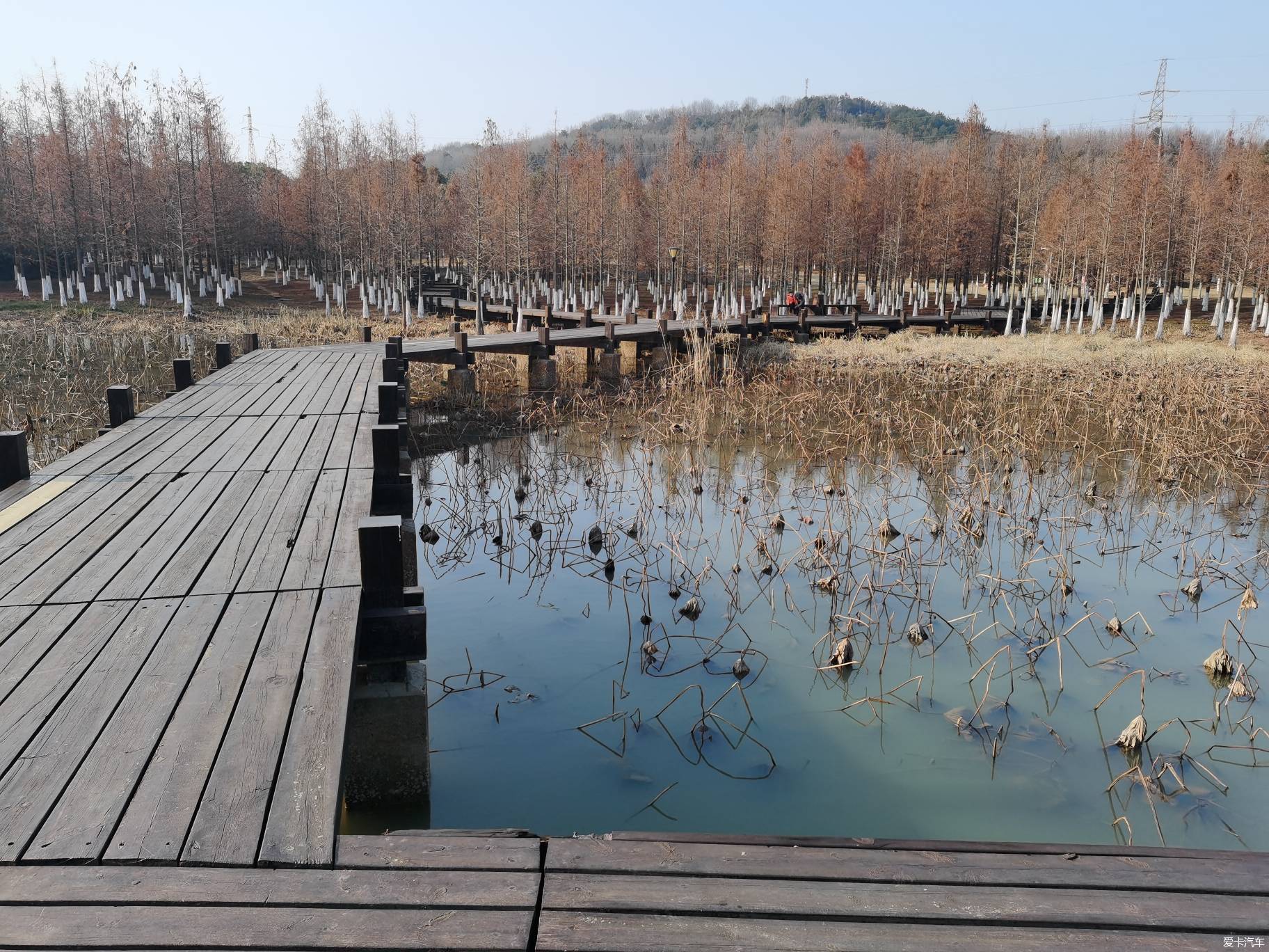 汉阳龙灵山生态公园图片