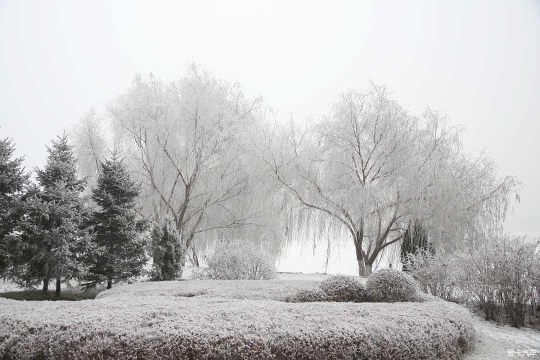 东北冬天雪景树挂图片