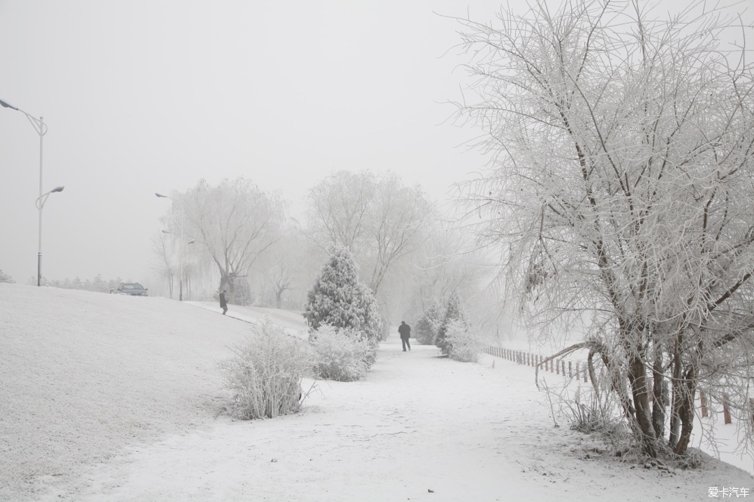 雪后的美景树挂图片