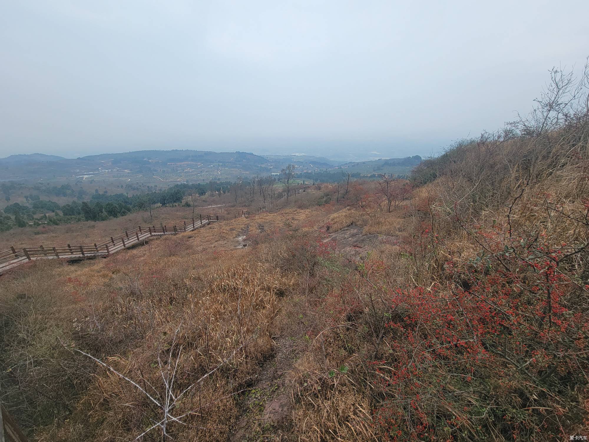 登金堂龔家山-愛卡汽車網論壇