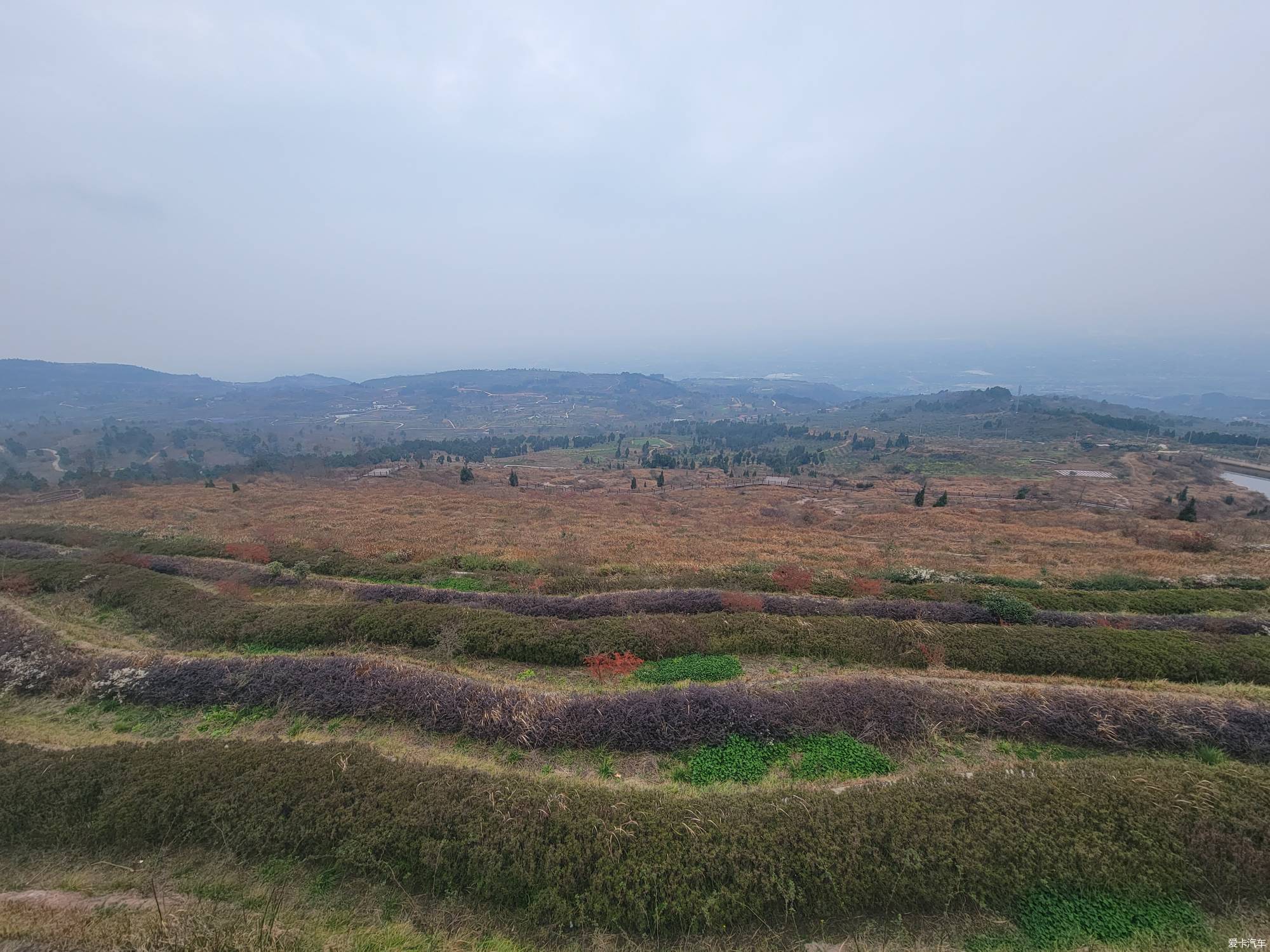 登金堂龔家山-愛卡汽車網論壇