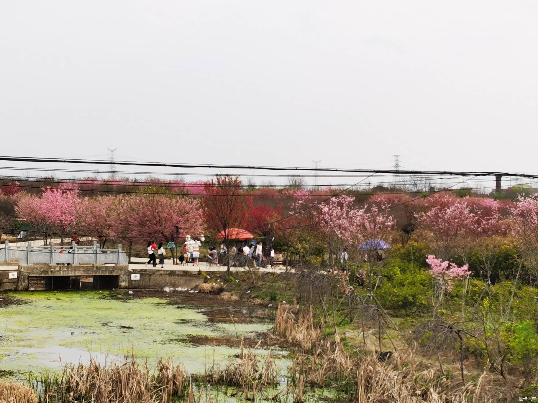 新洲张西湾江夏青春村