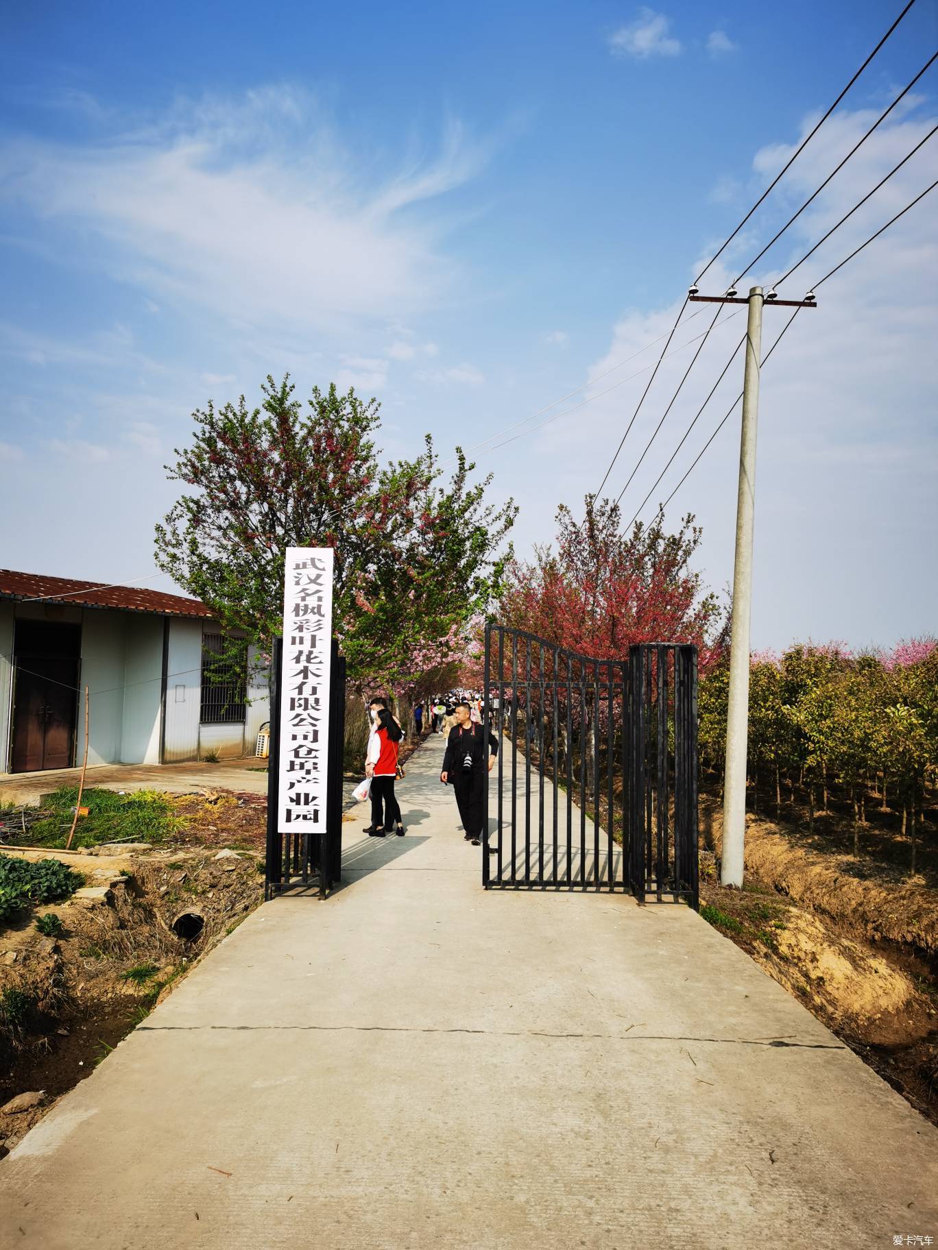 江夏区青春村图片