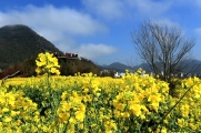 沿着高速看中国-开春到云贵观瀑赏花