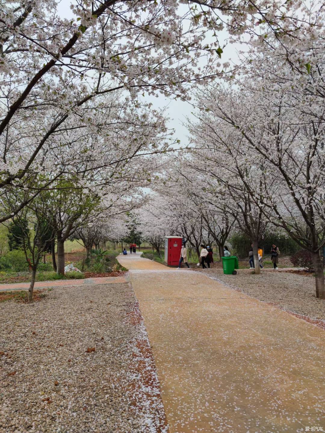 江夏区青春村图片