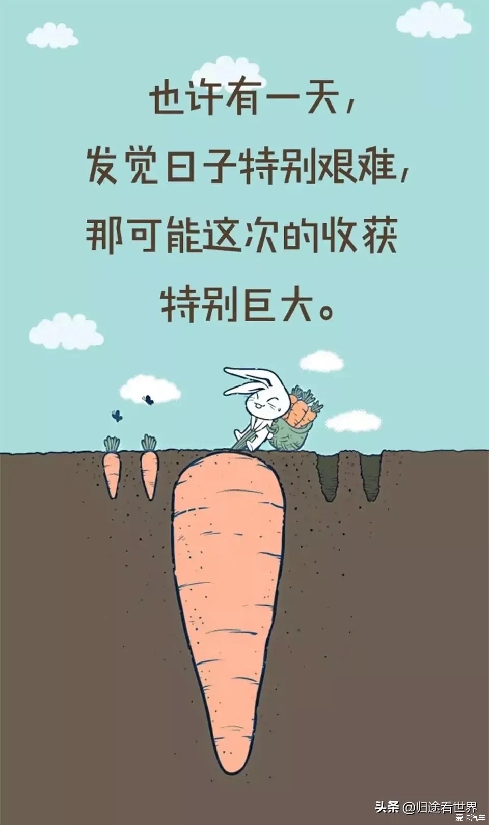 这鸡汤有毒图片图片