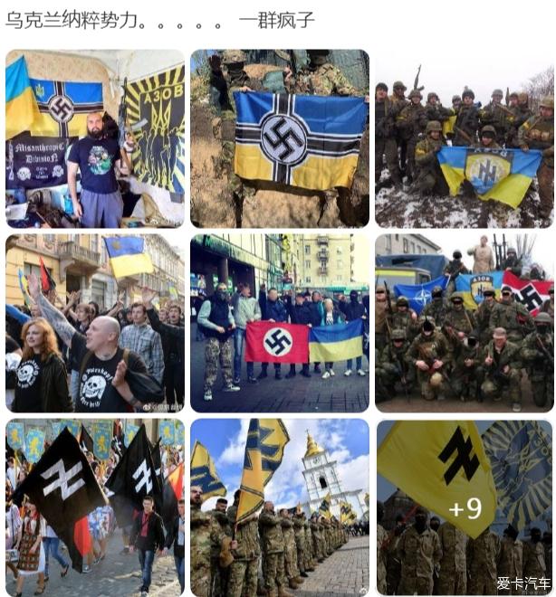 乌克兰政府军纳粹旗图片