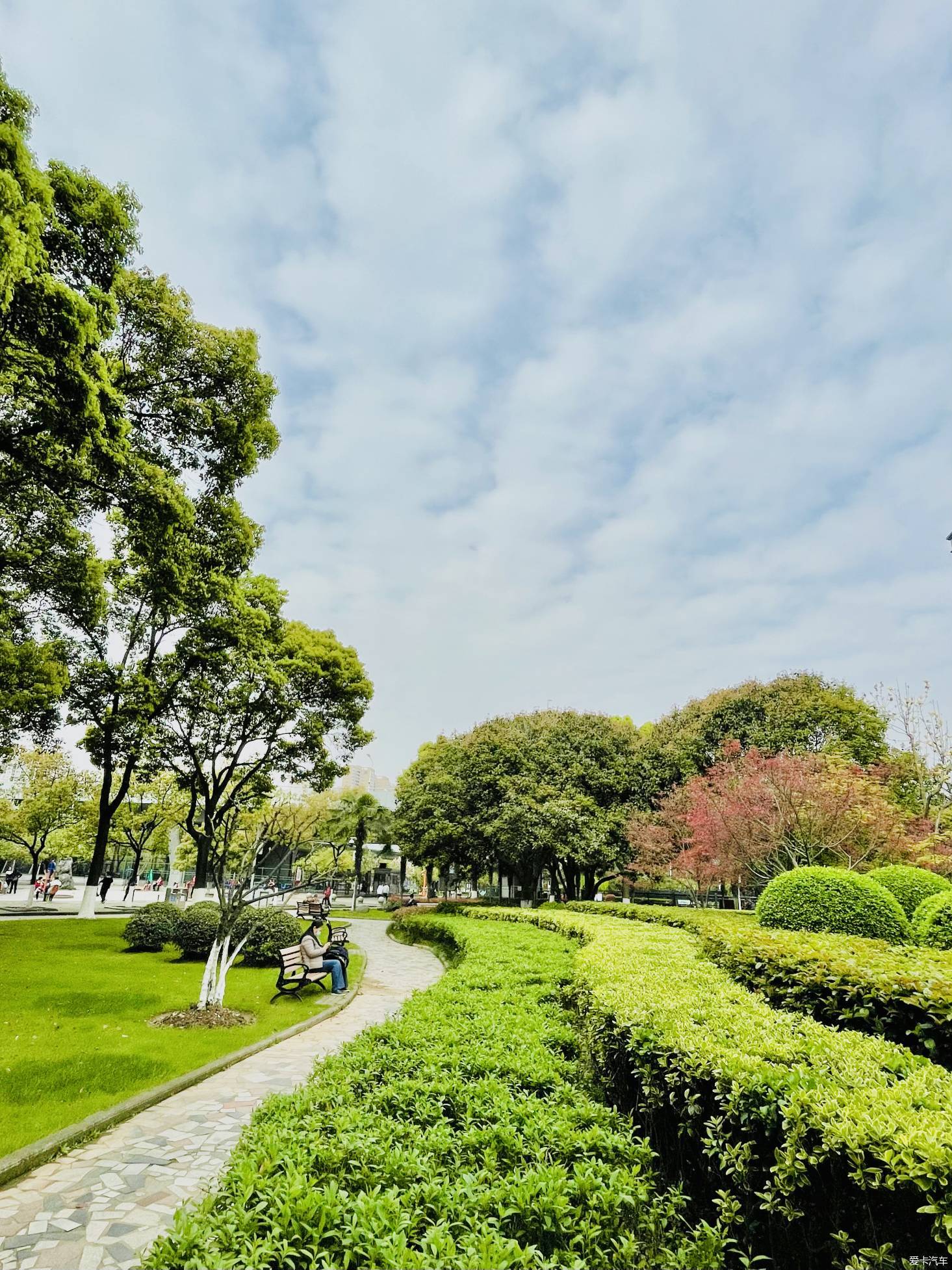 浪漫赏花季武汉四美塘公园的景色好极了