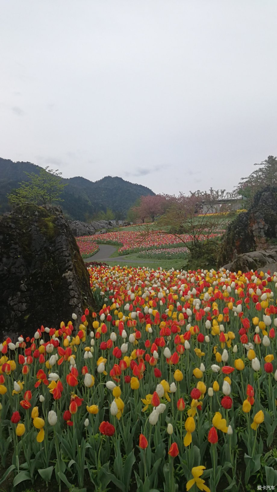 冬天雅安桌山黑石公园图片