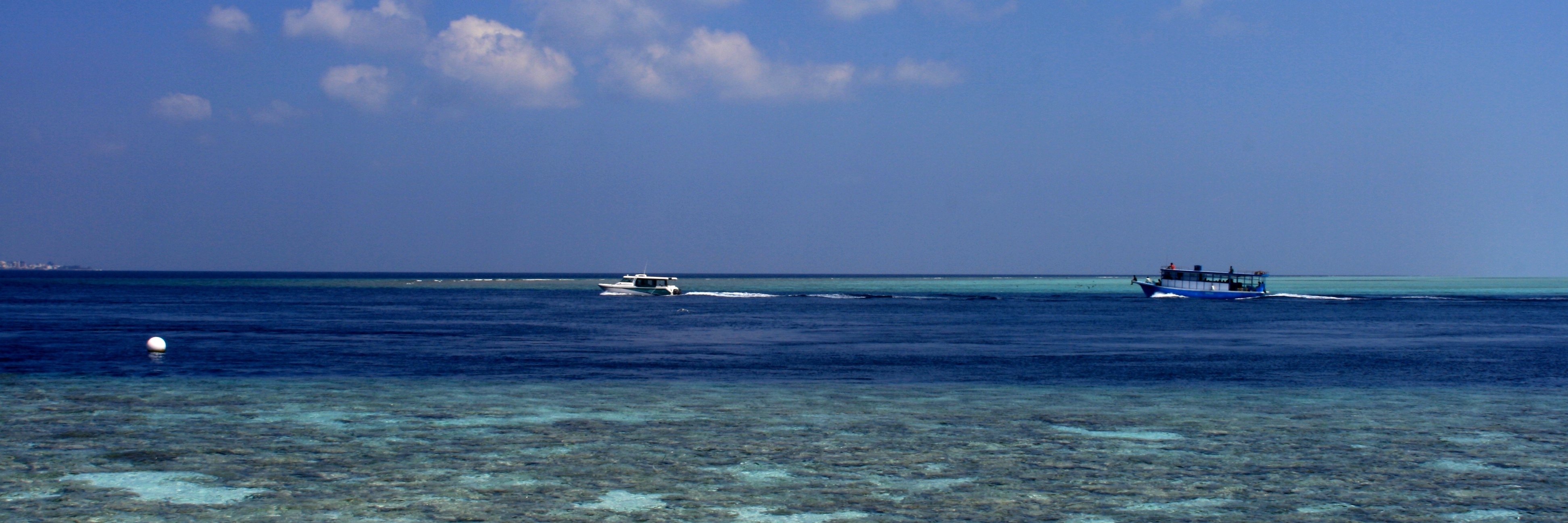 等疫情过后，我们去马尔代夫看大海。