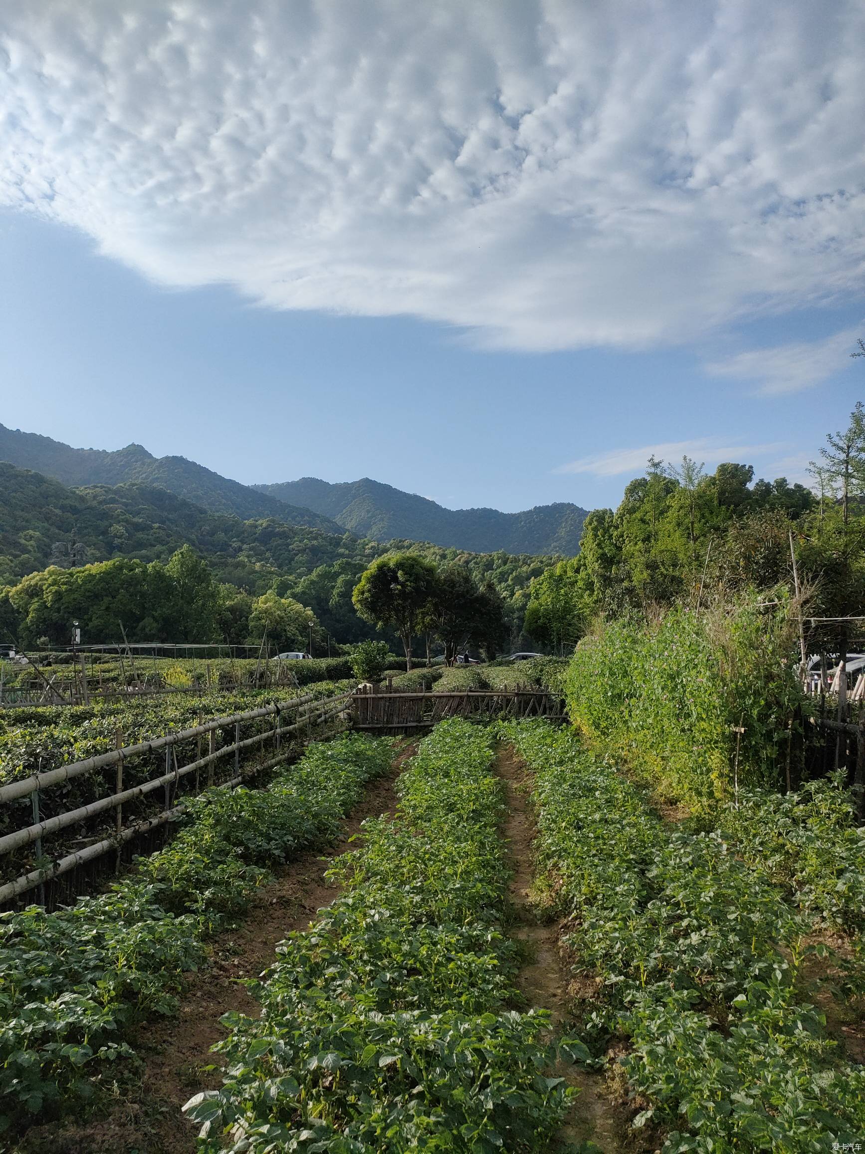 龍塢茶村