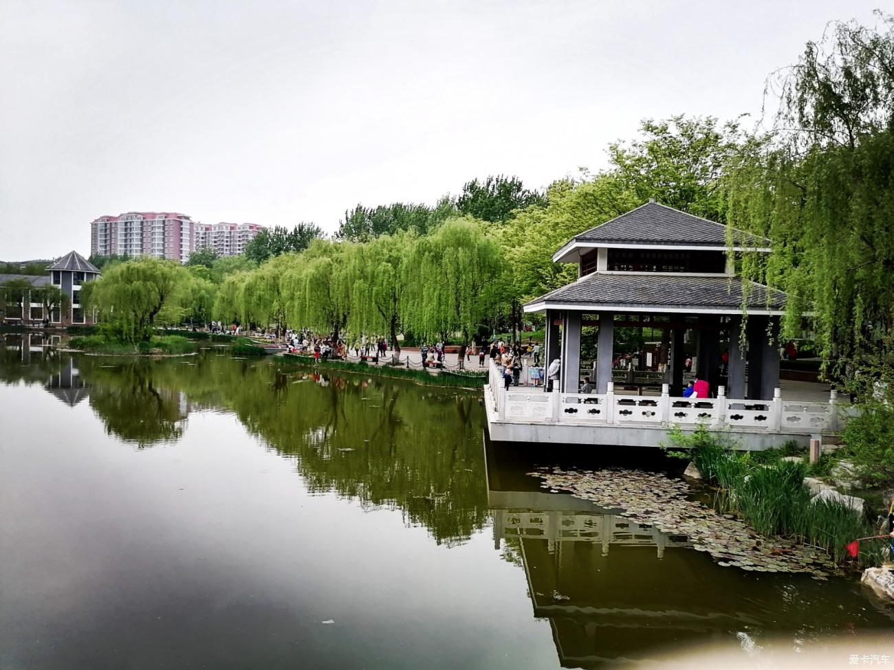 点击进入图库