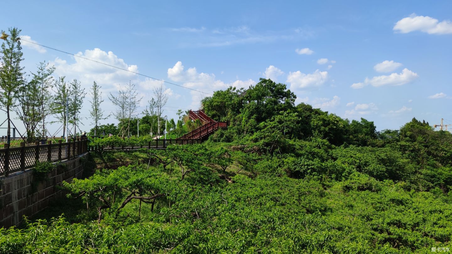 钟家山森林公园图片