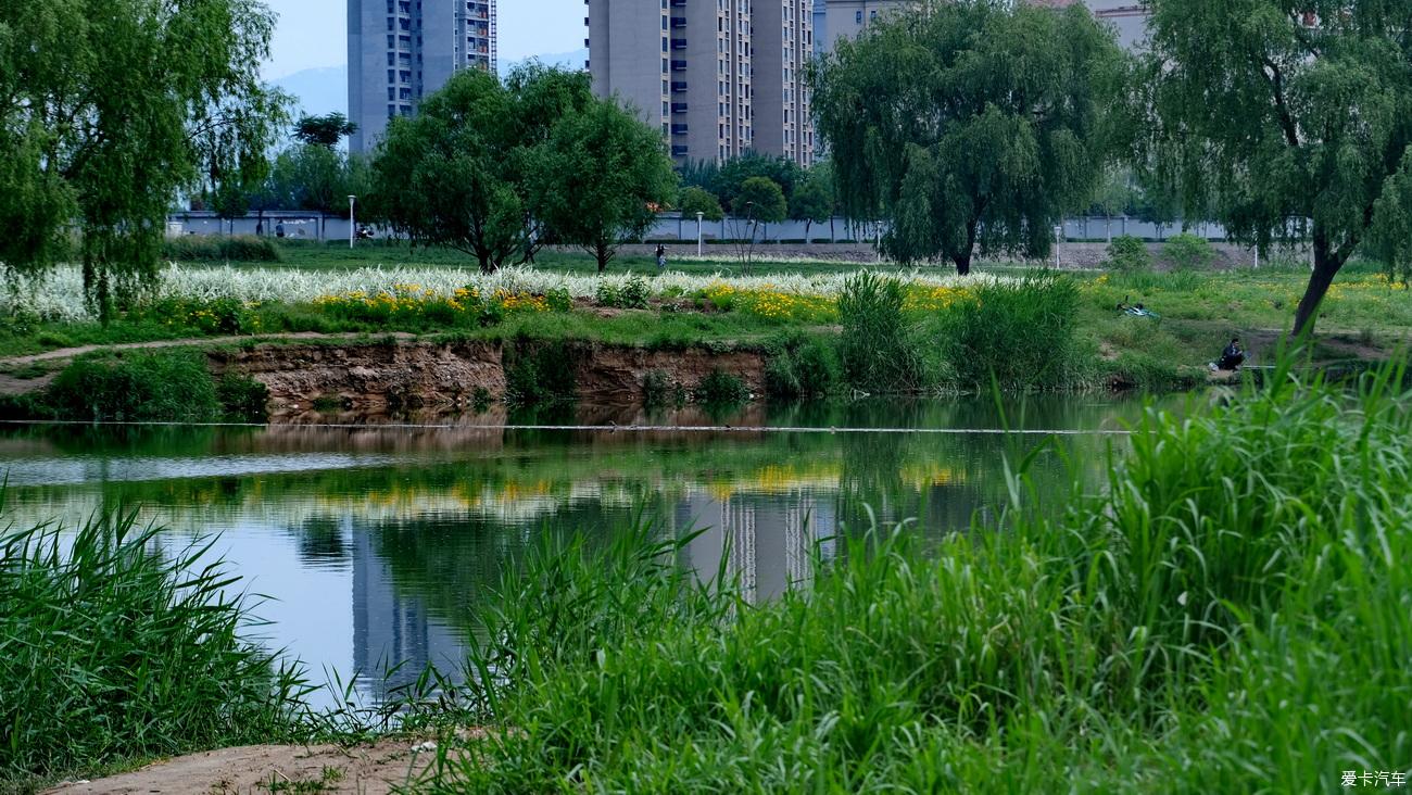 西安抗疫日记 灞河生态湿地【严建设】