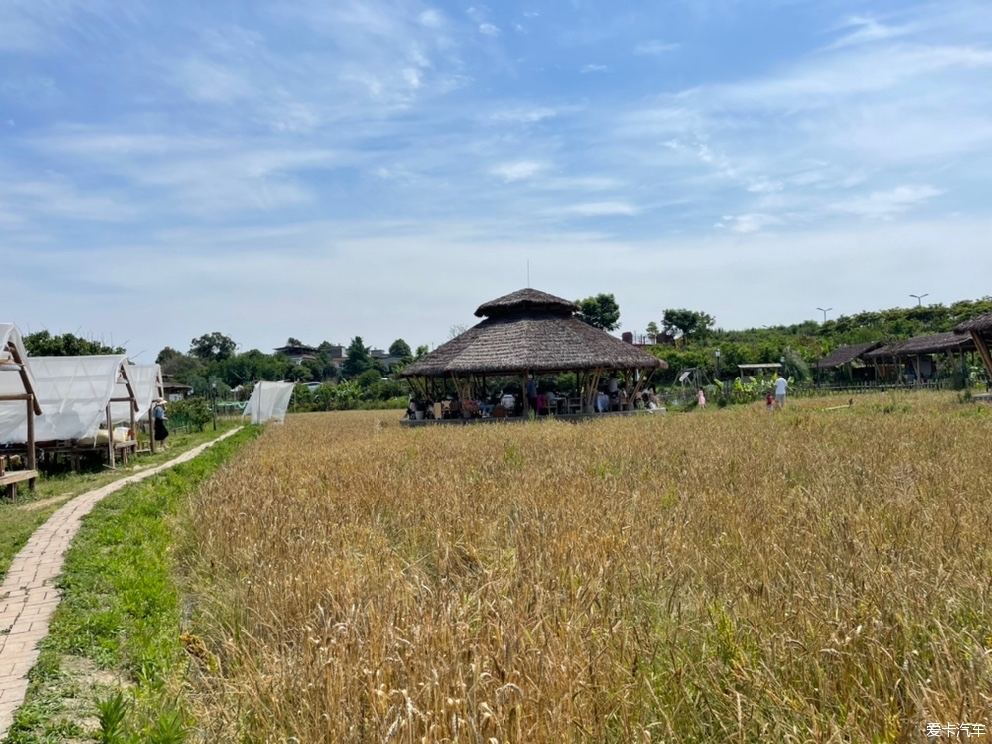 探访泰式农场—小草垛田野农场