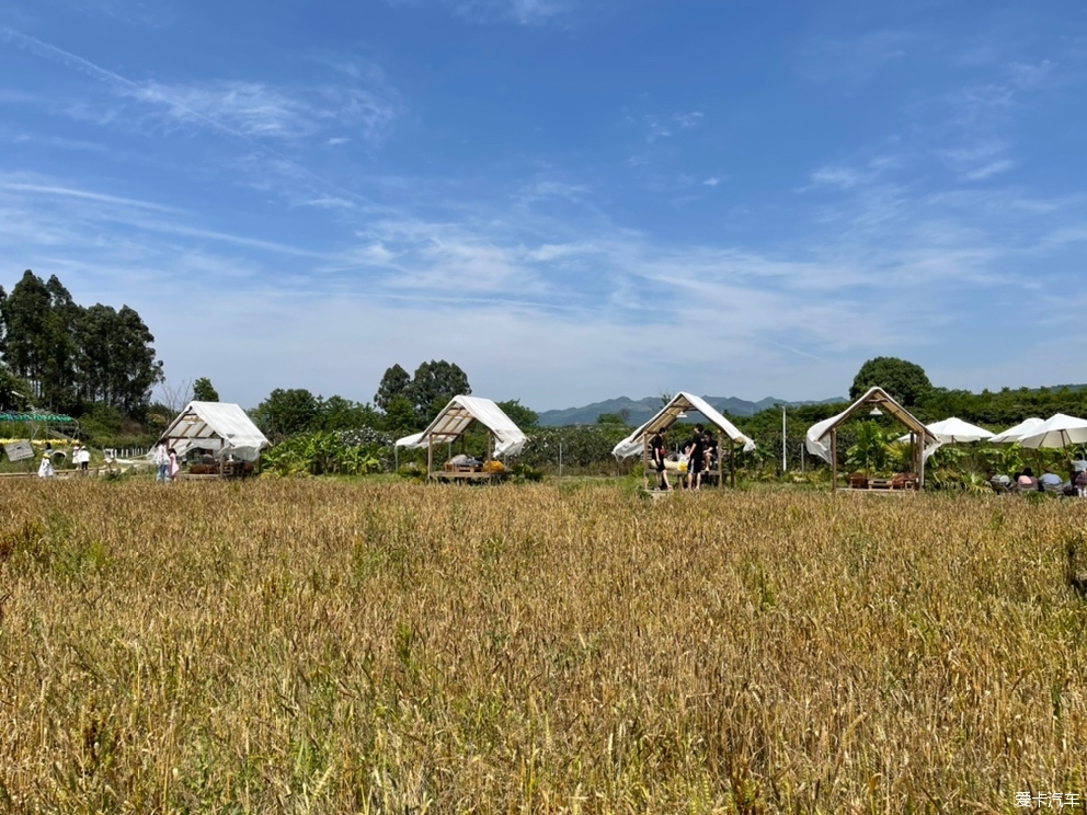 探访泰式农场—小草垛田野农场