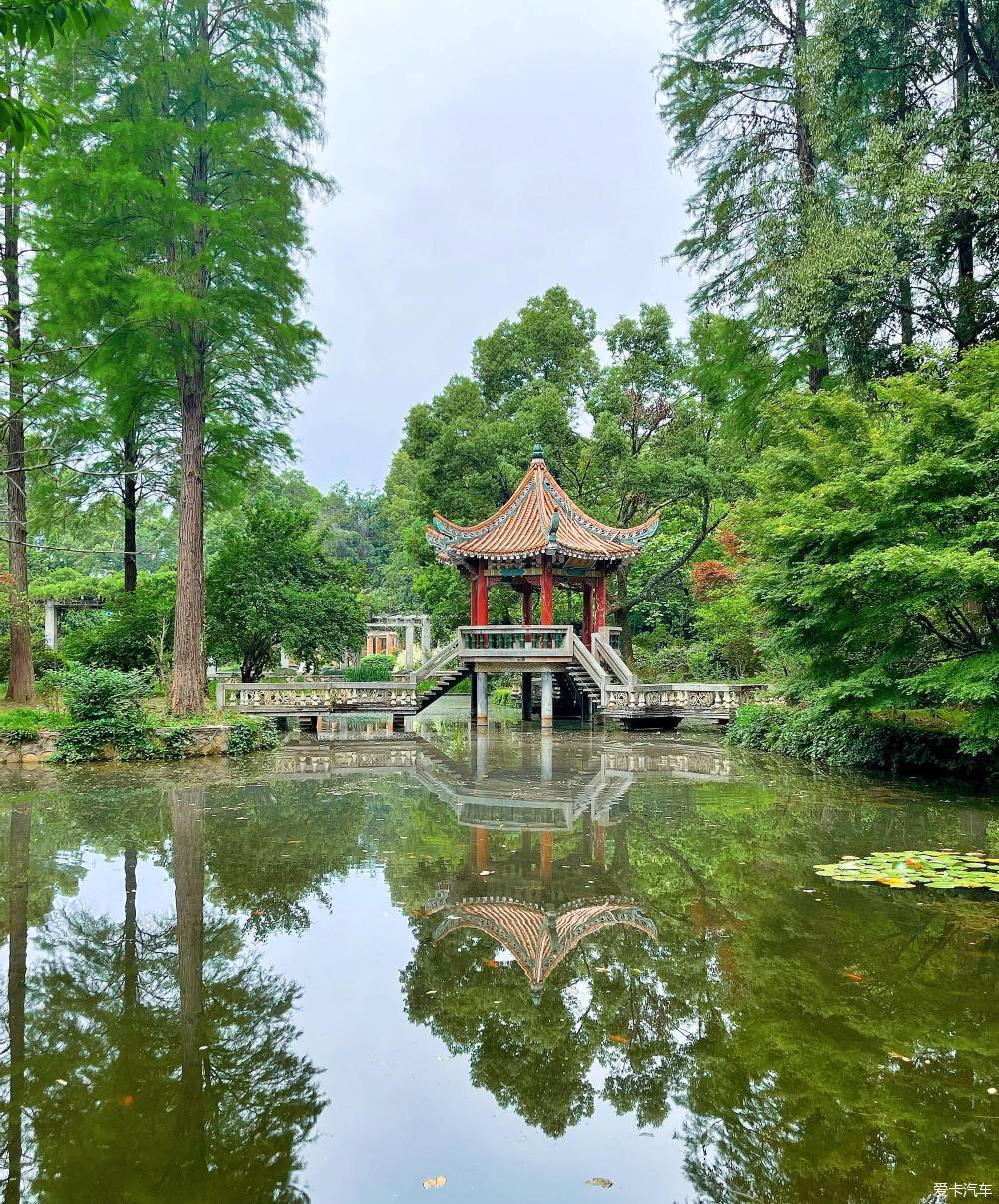 【加油追梦人】武汉植物园一游