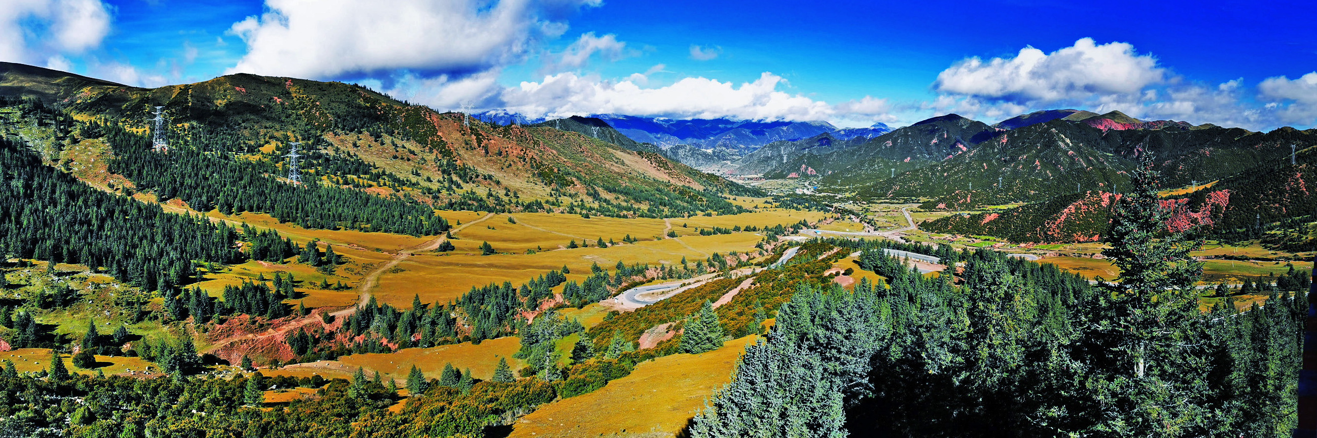 【爱车生活秀】穿越青藏：一望无垠风景迤逦的拉乌山草甸美不胜收