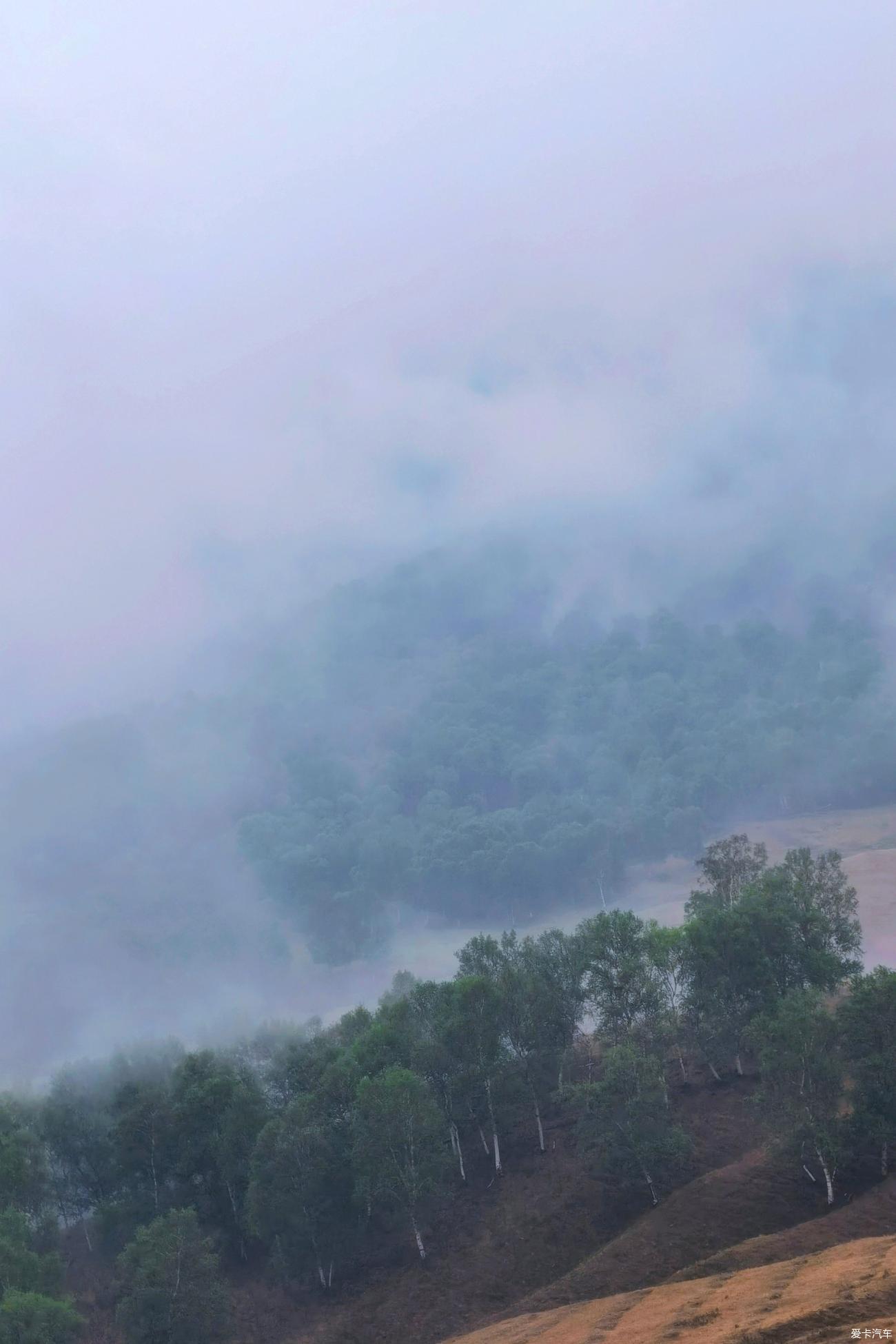 穿过雾光森林——记雨后“小桂林”（蒙蒙出品）