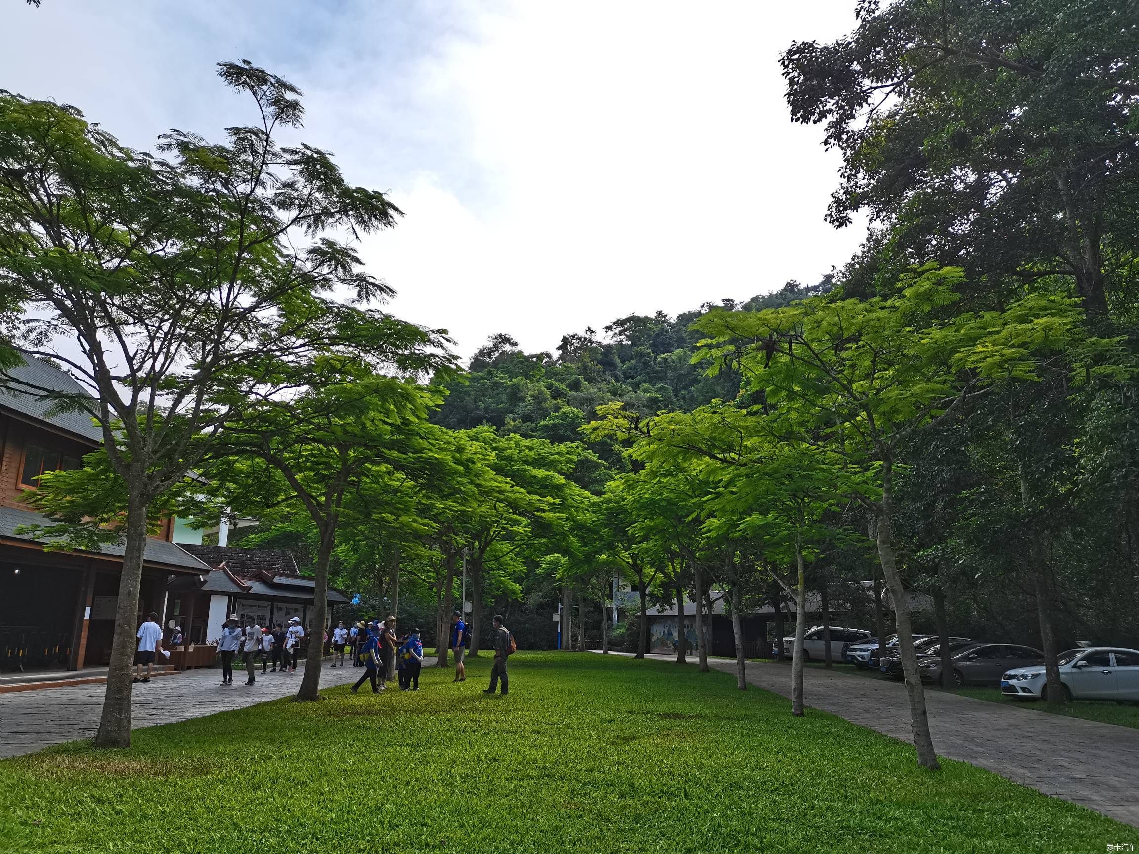 野象谷风景图片