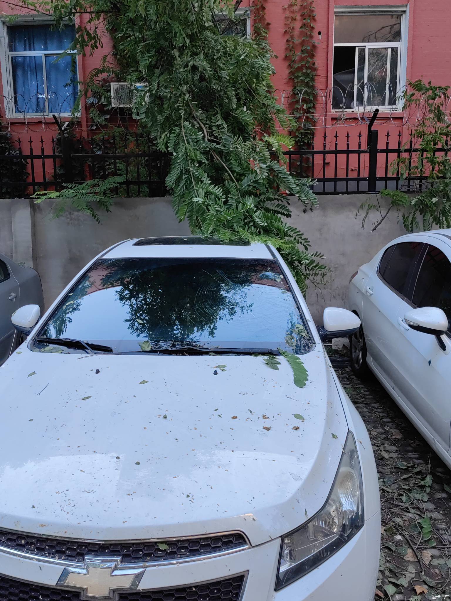 北京一轮冰雹过后，多辆汽车天窗玻璃被砸坏，新车变成“马蜂窝”_哔哩哔哩_bilibili