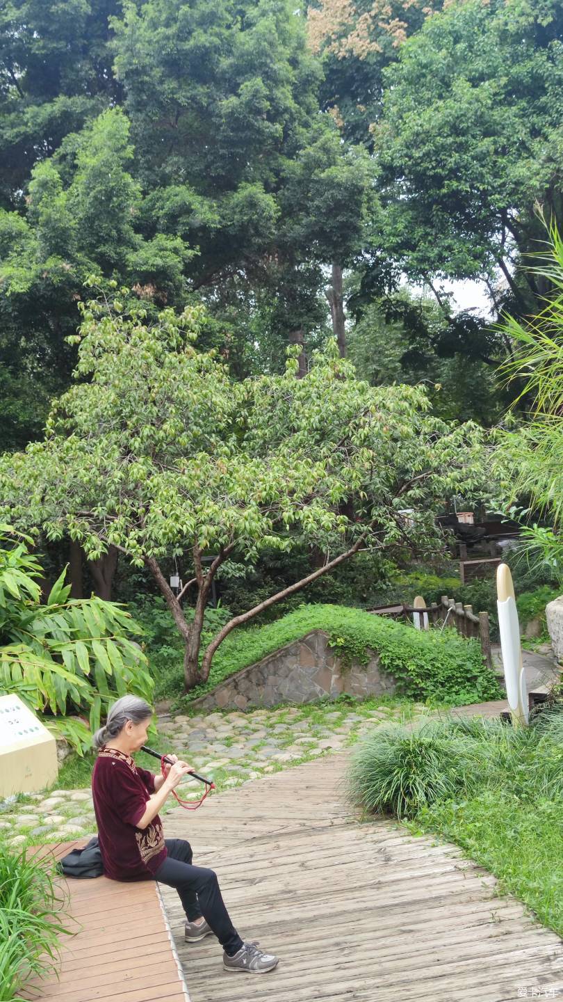 【大玩家】成都活水公園