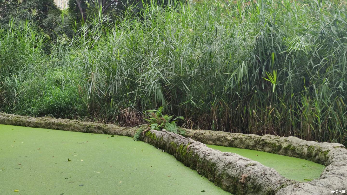 【大玩家】成都活水公園