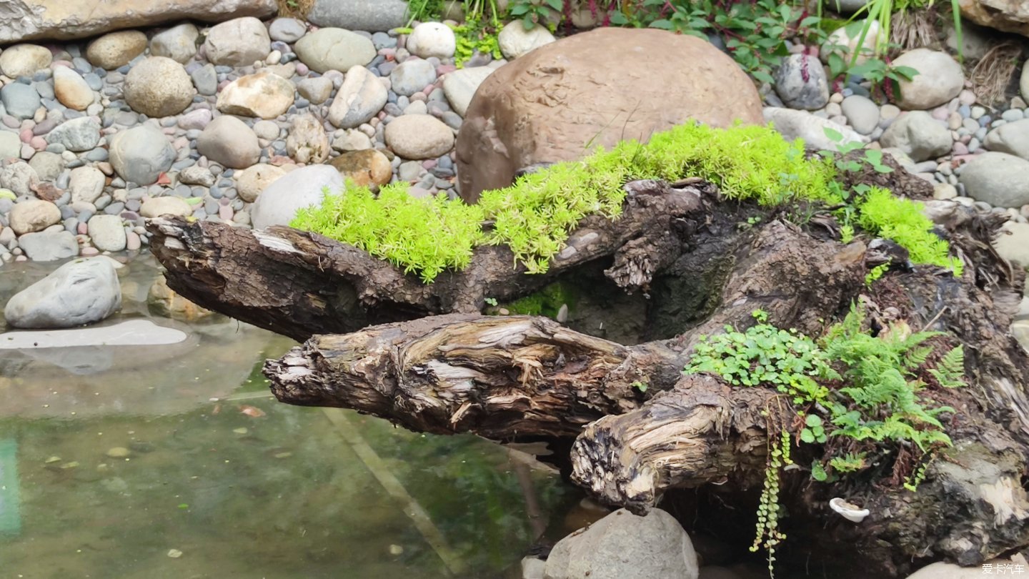 【大玩家】成都活水公園