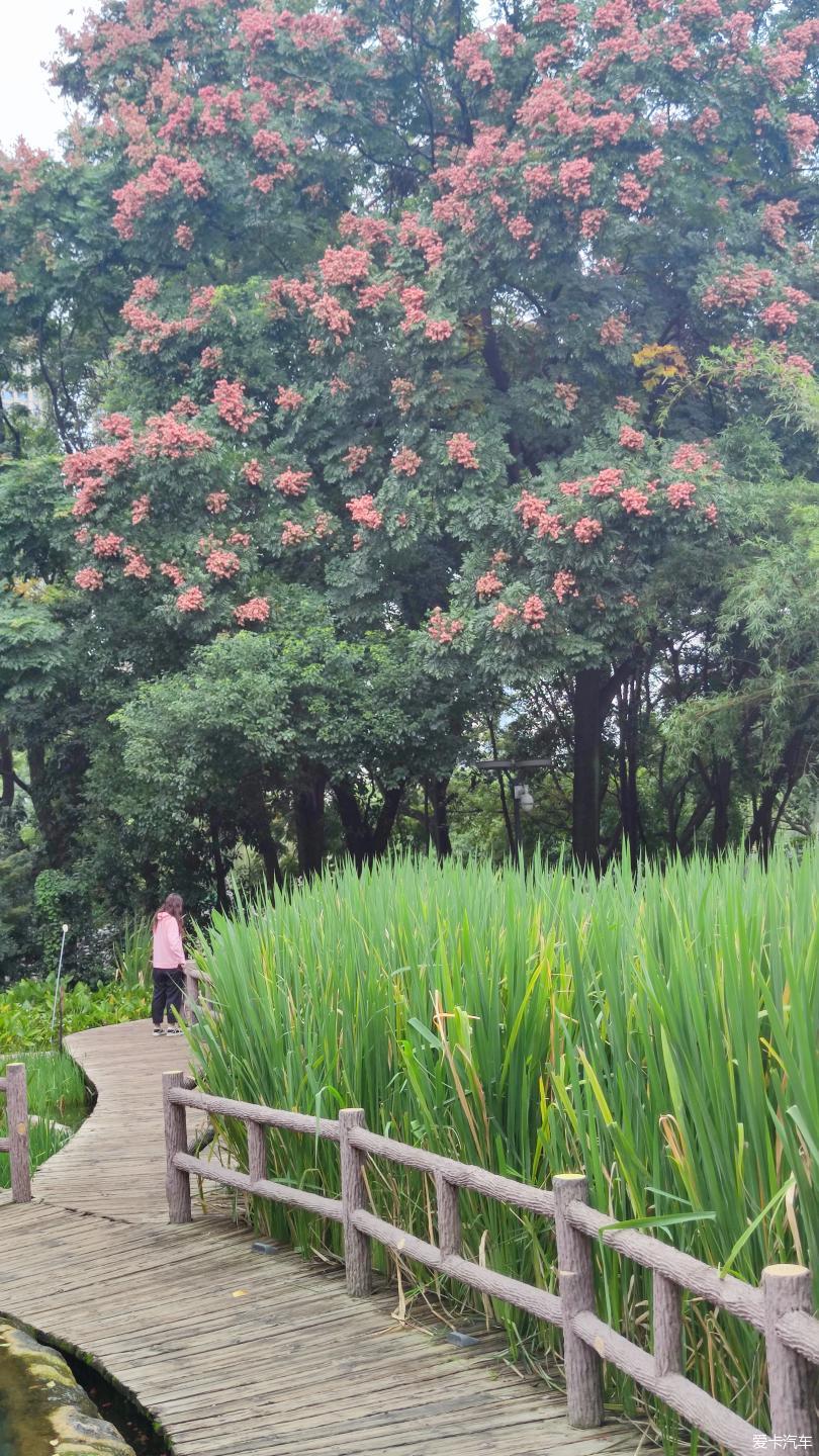 【大玩家】成都活水公園